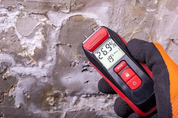 Best Water Damage Restoration  in Kempner, TX