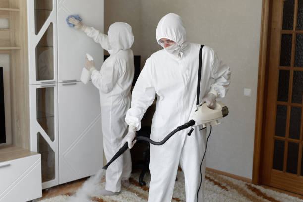 Best Certified Mold Removal  in Kempner, TX
